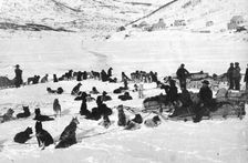 Loaded dog sleds on Petropavlovsk-Kamchatsky Square, 1910-1929. Creator: Ivan Emelianovich Larin
