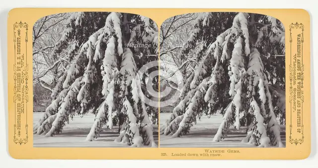 Loaded down with snow, 1870/89. Creator: Henry Hamilton Bennett.