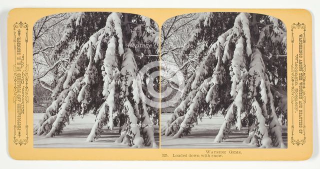 Loaded down with snow, 1870/89. Creator: Henry Hamilton Bennett.