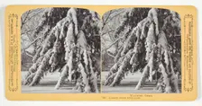 Loaded down with snow, 1870/89. Creator: Henry Hamilton Bennett