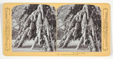 Loaded down with snow, 1870/89. Creator: Henry Hamilton Bennett