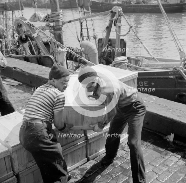 Loaders placing fish that has been taken from boats, boxed, and iced, aboard..., New York, 1943. Creator: Gordon Parks.