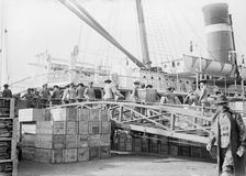 Loading U.S. Army transport ship Meade - League Isl'd., 1913. Creator: Bain News Service