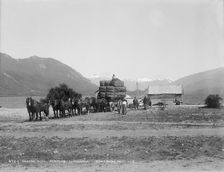 Loading wool, Pembroke, Lake Wanaka, New Zealand. Creator: Muir & Moodie