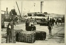 Loading a Cargo of Cotton c1948. Creator: Unknown