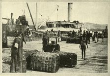 Loading a Cargo of Cotton c1948. Creator: Unknown