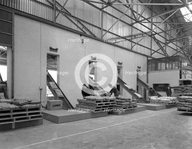 Loading animal feed onto conveyors, Spillers Animal Feeds, Gainsborough, Linconshire, 1961. Artist: Michael Walters