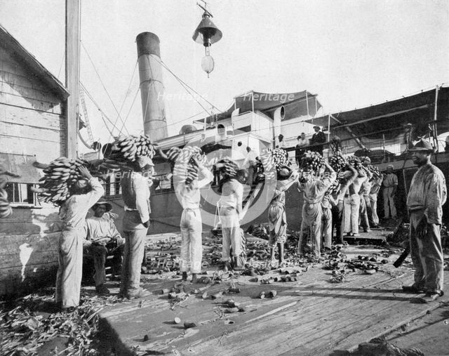 Loading bananas, Port Antonio, Jamaica, c1905.Artist: Adolphe Duperly & Son