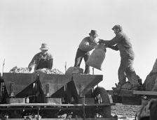 Loading bins of potato planter which fertilizes and plants potatoes..., Kern County, CA, 1939. Creator: Dorothea Lange