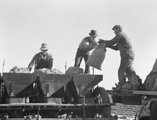 Loading bins of potato planter which fertilizes and plants potatoes..., Kern County, CA, 1939. Creator: Dorothea Lange