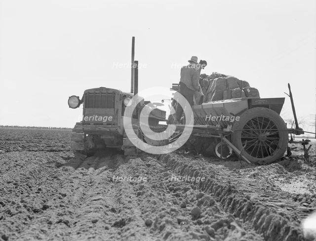 Loading bins of potato planter with fertilizer and seed..., Kern County, California, 1939. Creator: Dorothea Lange.