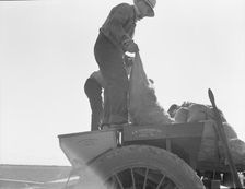 Loading bins of potato planter with fertilizer and seed..., Kern County, California, 1939. Creator: Dorothea Lange