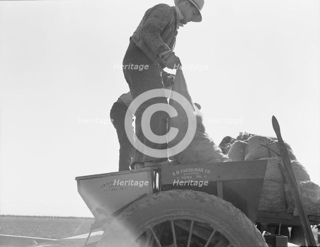 Loading bins of potato planter with fertilizer and seed..., Kern County, California, 1939. Creator: Dorothea Lange.