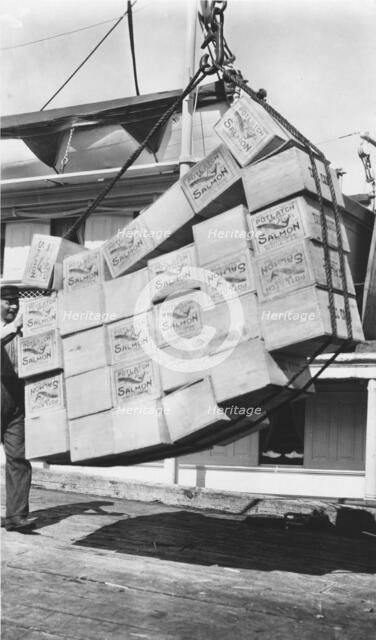 Loading boxes of salmon Petersburg, between c1900 and c1930. Creator: Unknown.