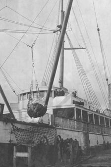 Loading copper on ship, between c1900 and 1916. Creator: Unknown