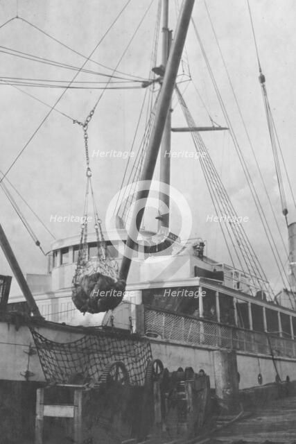 Loading copper on ship, between c1900 and 1916. Creator: Unknown.