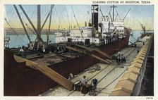 Loading cotton at Houston, Texas, USA, 1926
