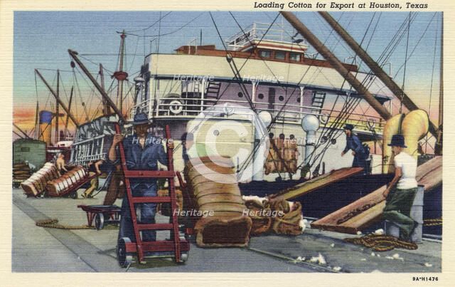 Loading cotton for export, Houston, Texas, USA, 1939. Artist: Unknown