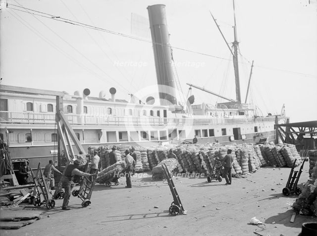 Loading cotton into a steamer, Savannah, Ga., c1904. Creator: Unknown.