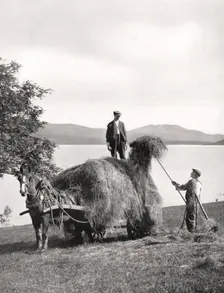 Loading hay onto a wagon on the shores of Loch Lomond, Scotland, 1924-1926.Artist: Donald McLeish