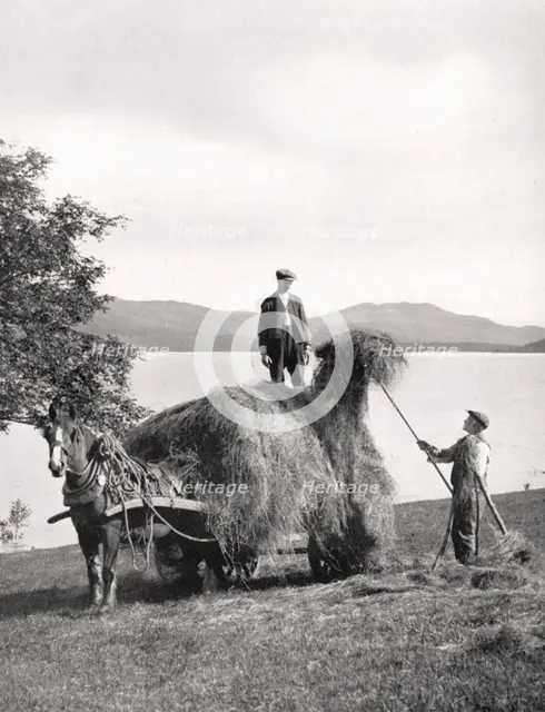 Loading hay onto a wagon on the shores of Loch Lomond, Scotland, 1924-1926.Artist: Donald McLeish