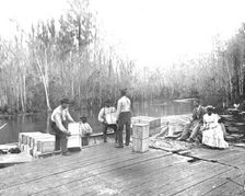 Loading oranges on the Ocklawaha River, Florida, USA, c1900. Creator: Unknown