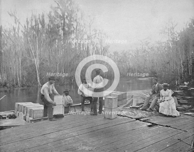 'Loading Oranges on the Ocklawaha River, Florida', c1897. Creator: Unknown.