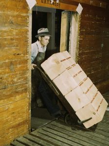 Loading oranges into refrigerator car at a co-op orange packing plant, 1943. Creator: Jack Delano