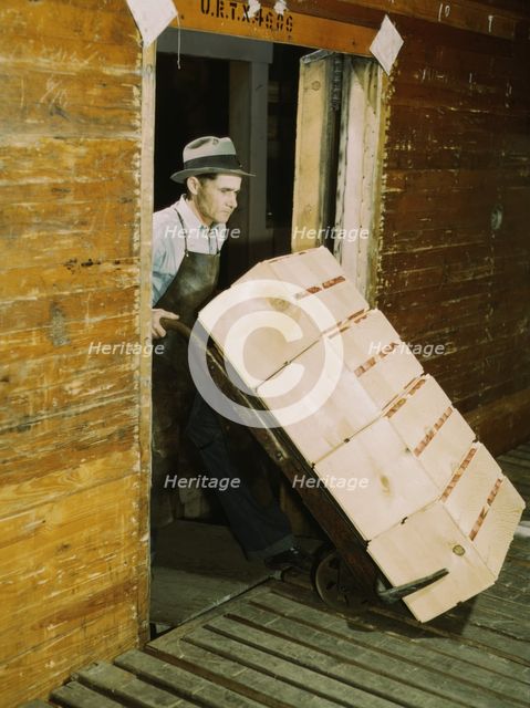 Loading oranges into refrigerator car at a co-op orange packing plant, 1943. Creator: Jack Delano.