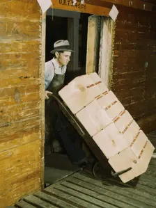 Loading oranges into refrigerator car at a co-op orange packing plant, 1943. Creator: Jack Delano