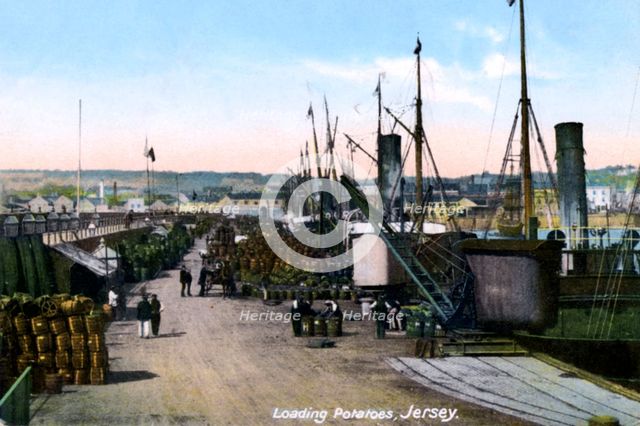 Loading Potatoes, Jersey, 1908. Artist: Unknown