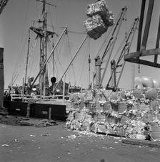 Loading pulp, Stockholm harbour, Sweden, 1950. Creator: Torkel Lindeberg