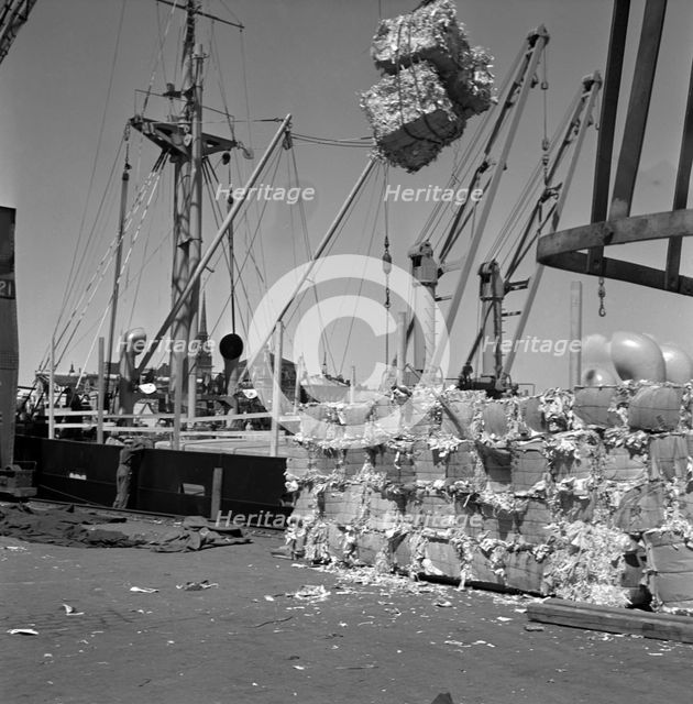Loading pulp, Stockholm harbour, Sweden, 1950. Creator: Torkel Lindeberg.