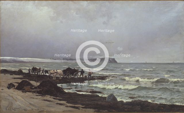 Loading seaweed on the beach at Hornbæk, 1882. Creator: Carl Ludvig Locher.