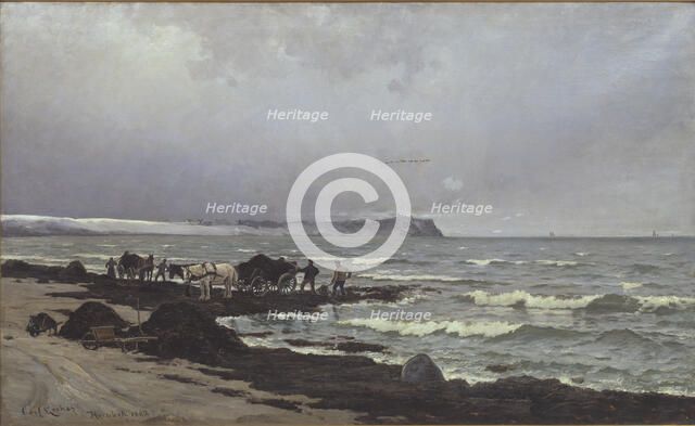 Loading seaweed on the beach at Hornbæk, 1882. Creator: Carl Ludvig Locher.