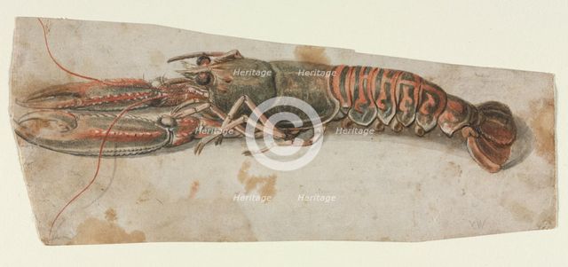 Lobster, 1600s. Creator: Anonymous.