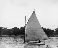 Lobster, 1899 July 4. Creator: John S Johnston