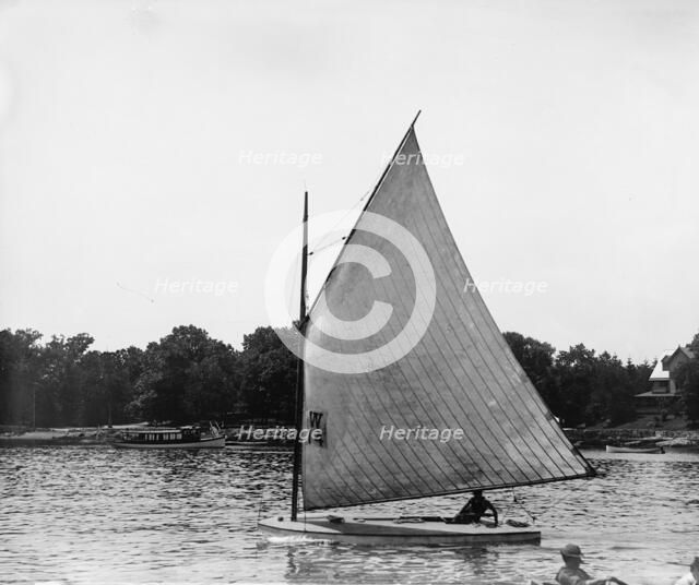 Lobster, 1899 July 4. Creator: John S Johnston.