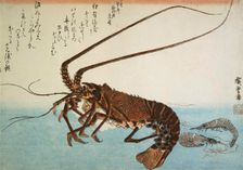 Lobster and Shrimps, 1832-1834. Creator: Hiroshige, Utagawa (1797-1858)