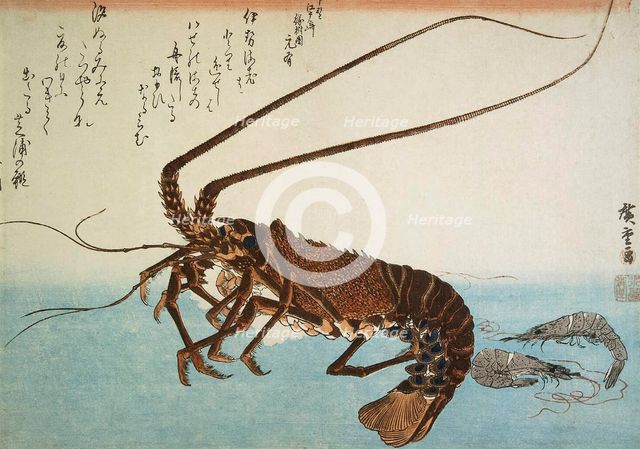 Lobster and Shrimps, 1832-1834.  Creator: Hiroshige, Utagawa (1797-1858).