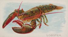 Lobster, from the Fish from American Waters series (N8) for Allen & Ginter Cigarettes Brands, 1889. Creator: Allen & Ginter