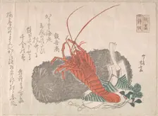 Lobster on a Piece of Charcoal with Other New Year Decorations, 19th century., 19th century. Creator: Shinsai