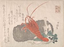 Lobster on a Piece of Charcoal with Other New Year Decorations, 19th century., 19th century. Creator: Shinsai