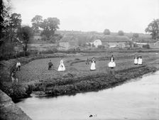Local people gathering watercress in a field by the River Kennet, Ramsbury, Wiltshire, 1860-1914. Creator: Frederick Ault