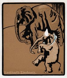Lockhart's elephants, 19th century