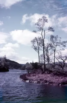Loch Katrine, Trossachs, Scotland, c1955. Creator: Arthur Charles Kirby Ware