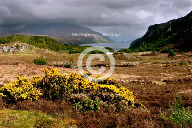 Loch Maree, Highland, Scotland. Creator: Peter Thompson.