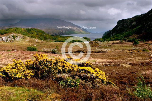 Loch Maree, Highland, Scotland. Creator: Peter Thompson.