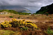 Loch Maree, Highland, Scotland. Creator: Peter Thompson