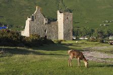 Lochranza Castle, Arran, North Ayrshire, Scotland